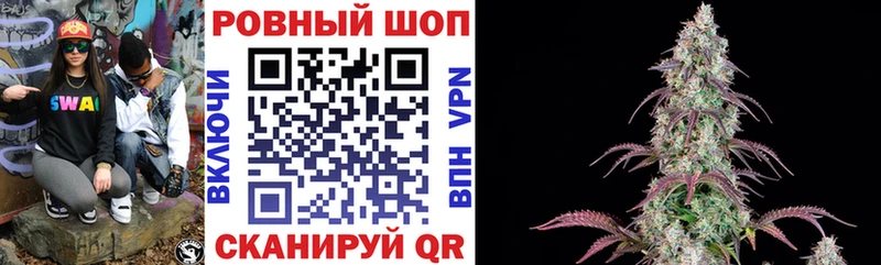 Что такое Светогорск Псилоцибиновые грибы A PVP Мефедрон Амфетамин Cocaine Гашиш