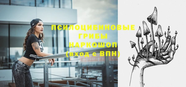 ПСИЛОЦИБИНОВЫЕ ГРИБЫ Армянск