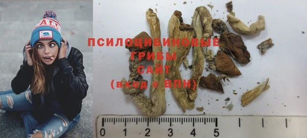 ПСИЛОЦИБИНОВЫЕ ГРИБЫ Армянск