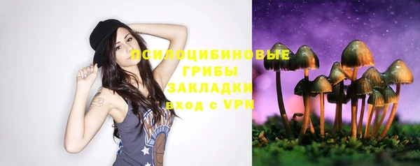 ПСИЛОЦИБИНОВЫЕ ГРИБЫ Армянск
