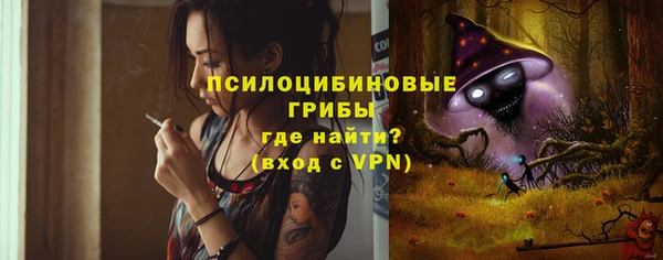 ПСИЛОЦИБИНОВЫЕ ГРИБЫ Армянск