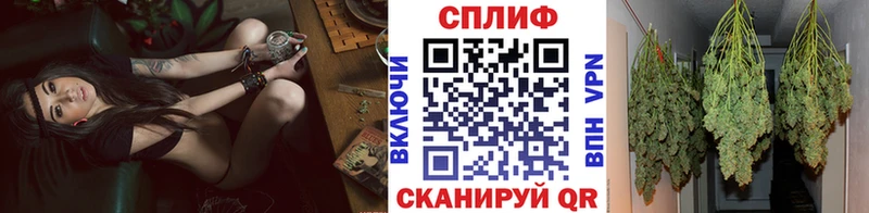 Марихуана конопля Светогорск